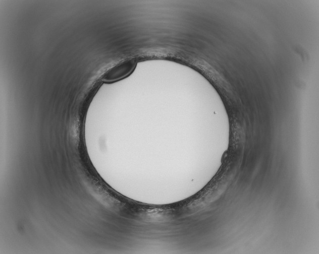 X0000110690064200907101157