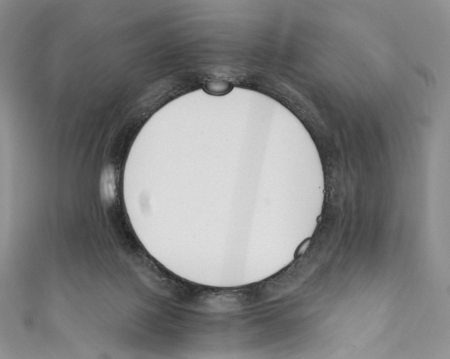 X0000110690075200907101157