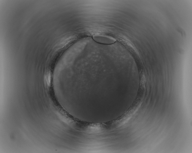 X0000110690076200907101157