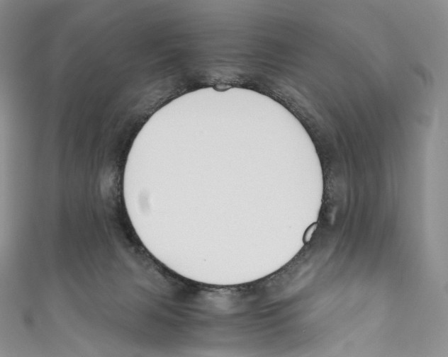 X0000110690079200907101157