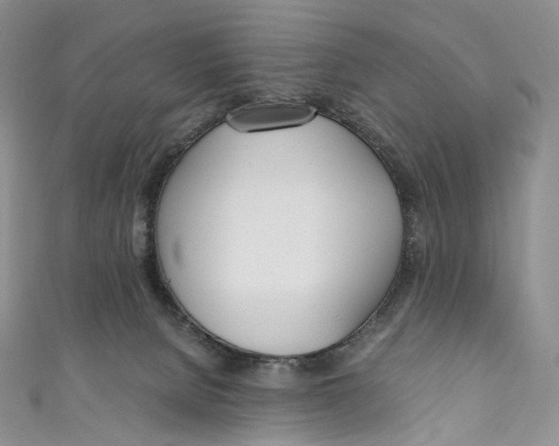 X0000110690080200907101158