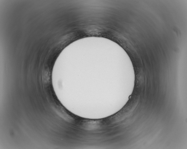 X0000110690081200907101158