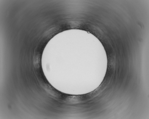 X0000110690082200907101158