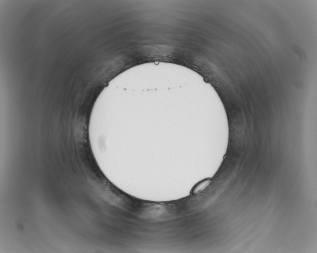 X0000110690083200907101158