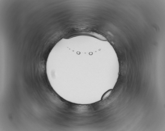 X0000110690085200907101158