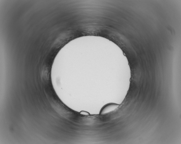 X0000110690086200907101158