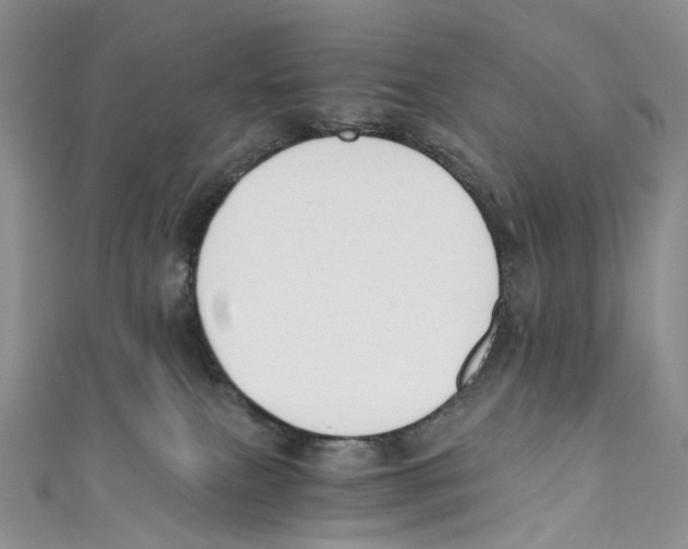 X0000110690087200907101158