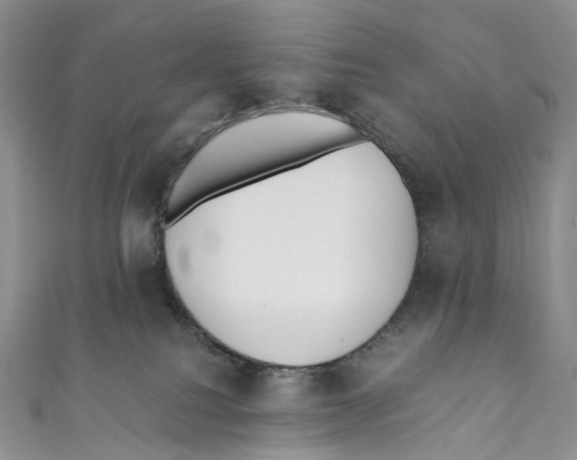 X0000110690088200907101158