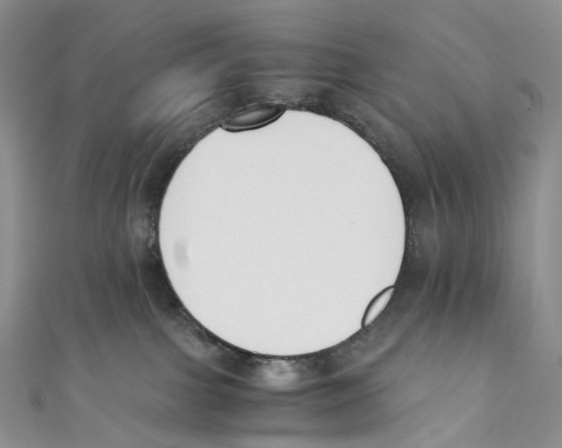 X0000110690091200907101158