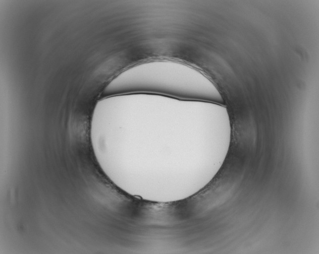 X0000110690092200907101158