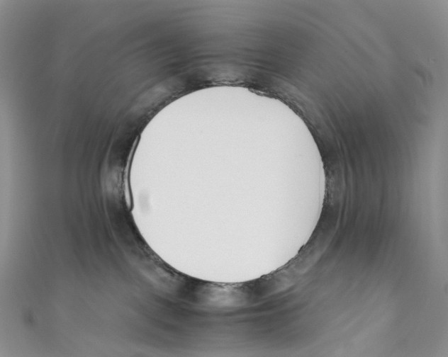 X0000110690093200907101158