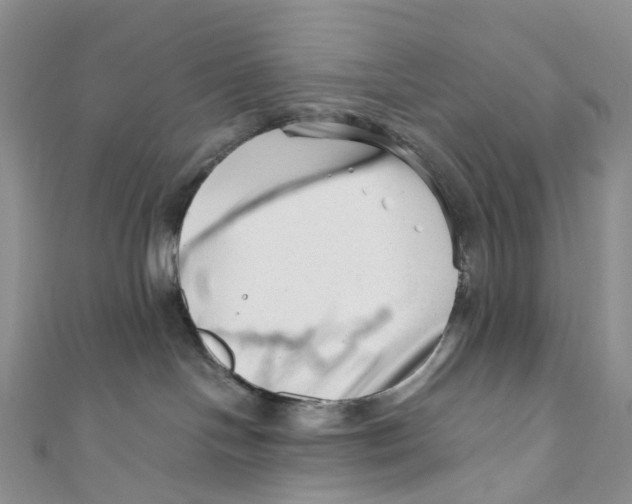 X0000110690094200907101158