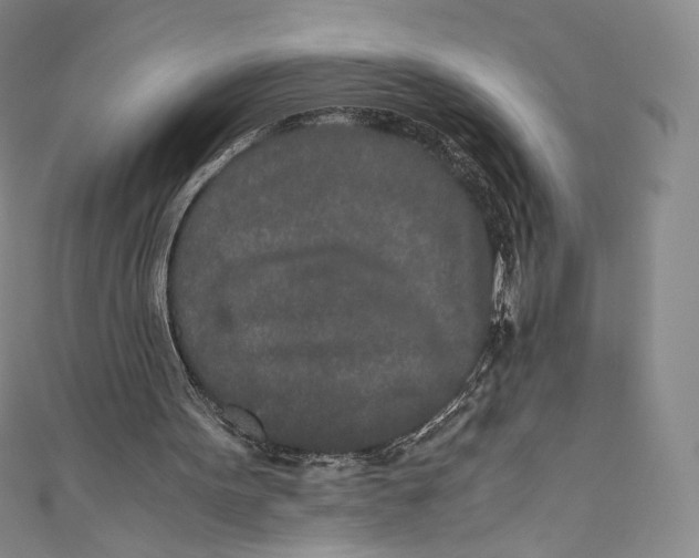 X0000110690099200907101157