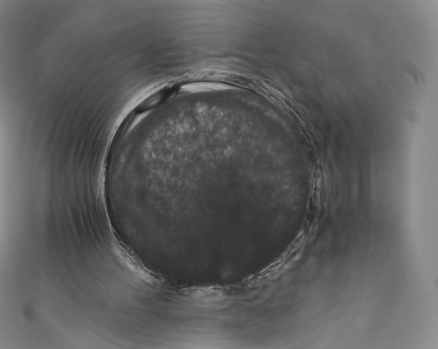 X0000110690100200907101157