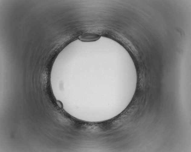 X0000110690113200907101157