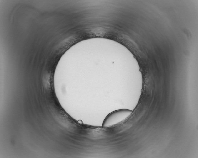 X0000110690122200907101157