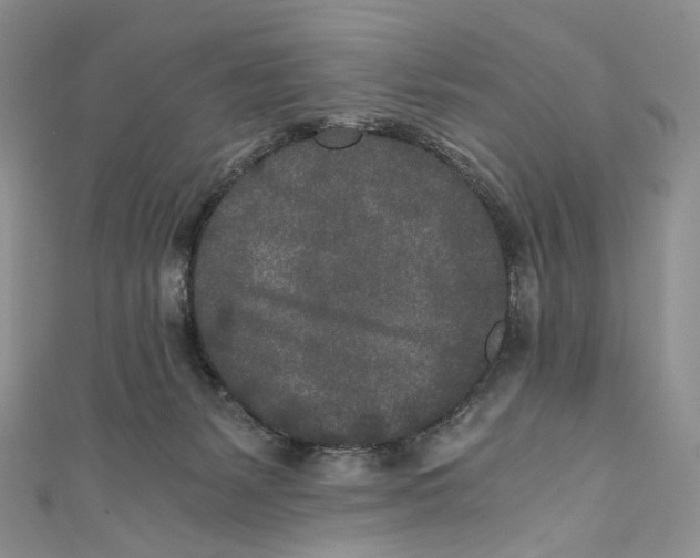 X0000110690127200907101157