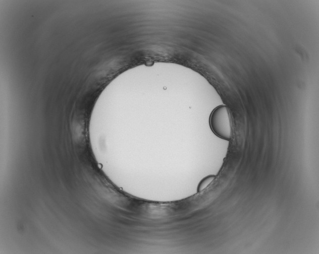 X0000110690134200907101157