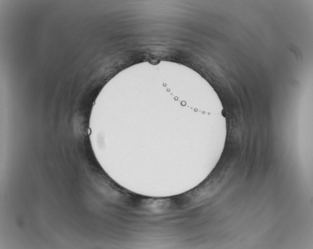 X0000110690135200907101157