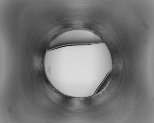 X0000110690136200907101157