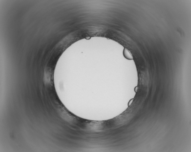 X0000110690138200907101157