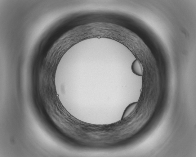 X0000110690142200907101157