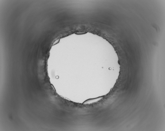 X0000110690144200907101156