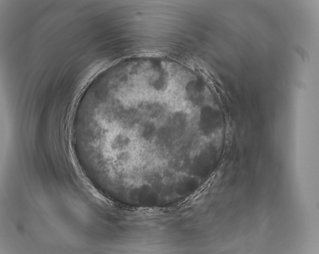 X0000110690145200907101156