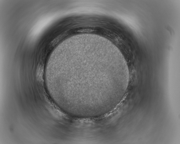 X0000110690146200907101156