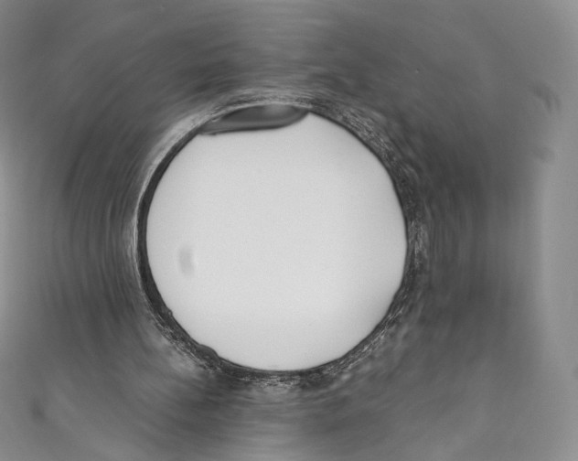 X0000110690148200907101156