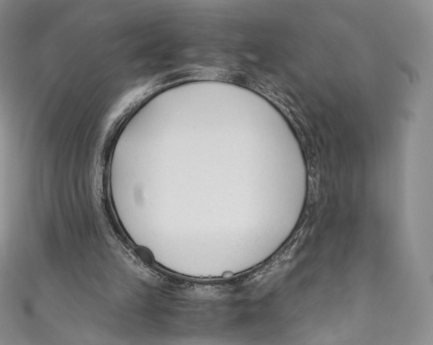 X0000110690149200907101156