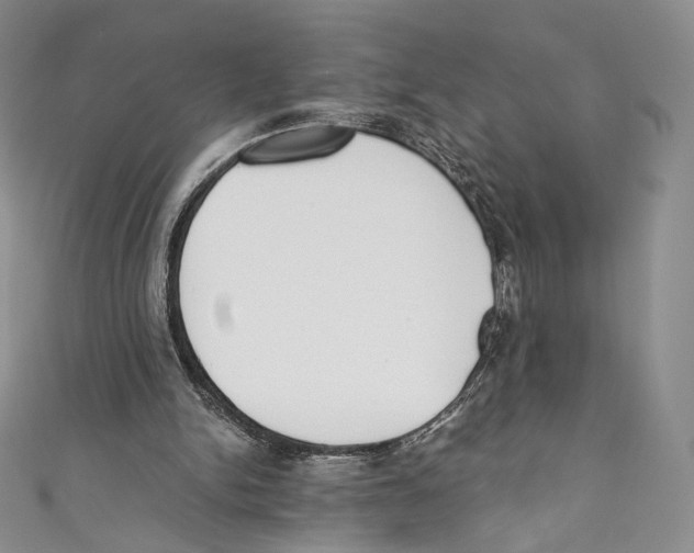 X0000110690150200907101156