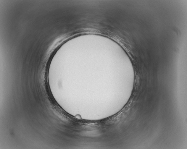 X0000110690151200907101156