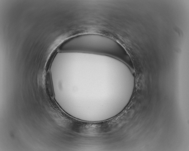 X0000110690152200907101156