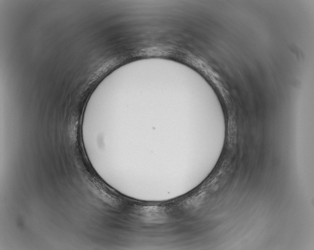 X0000110690153200907101156