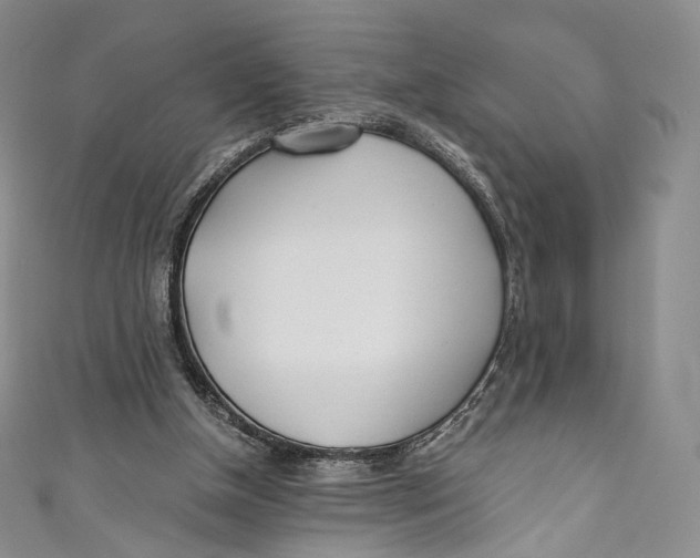 X0000110690154200907101156