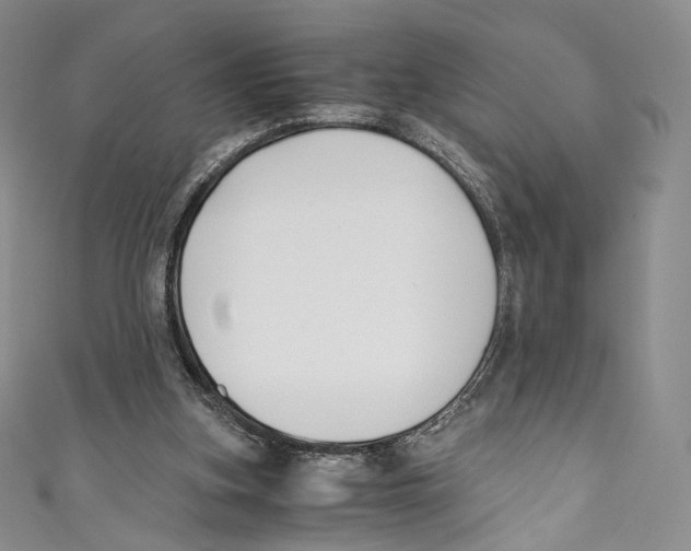 X0000110690155200907101156