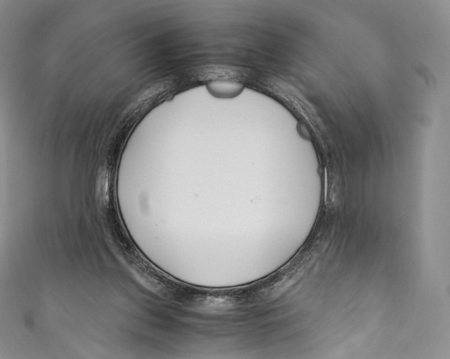 X0000110690157200907101156