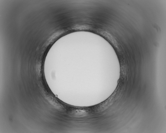 X0000110690159200907101156