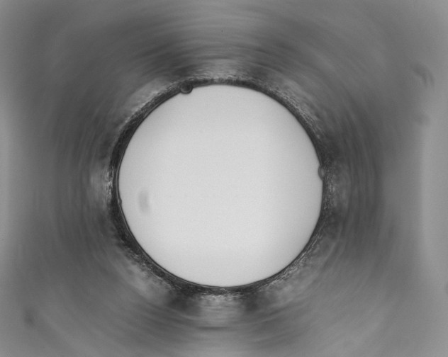 X0000110690160200907101156