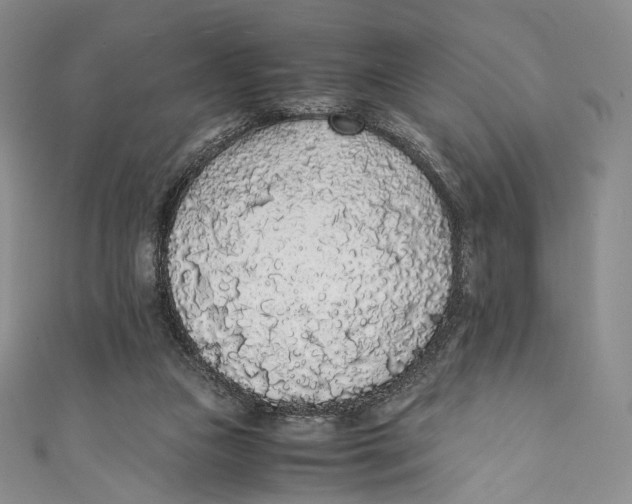 X0000110690161200907101156