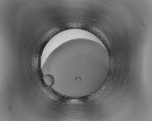 X0000110690163200907101156