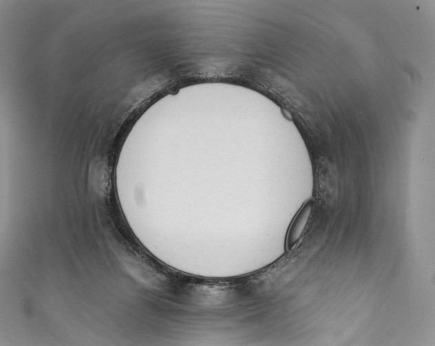 X0000110690164200907101156