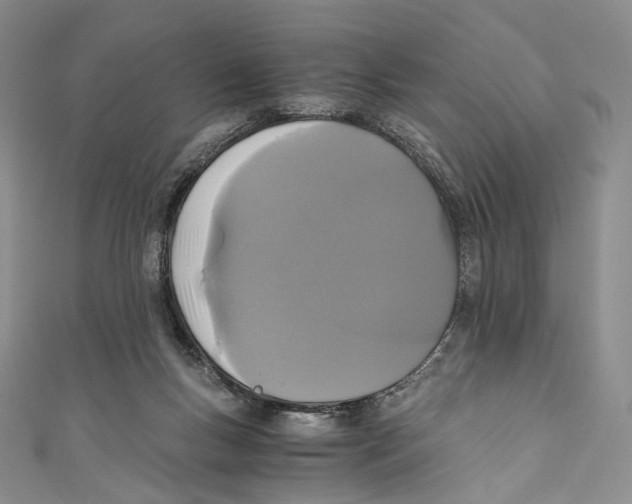 X0000110690167200907101156