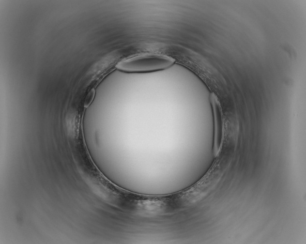 X0000110690168200907101156