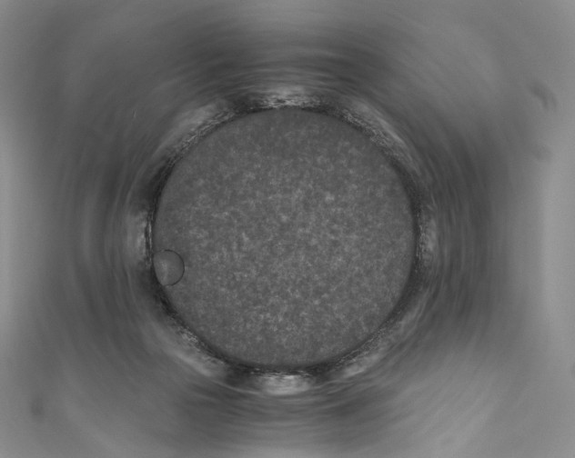 X0000110690169200907101156