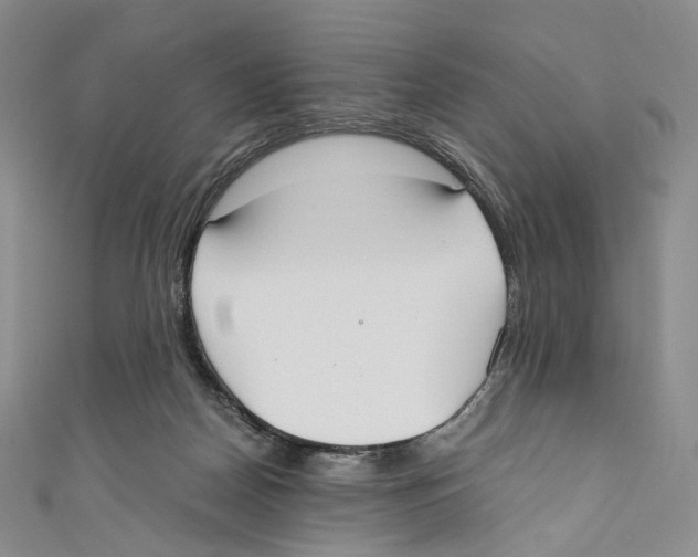 X0000110690170200907101156