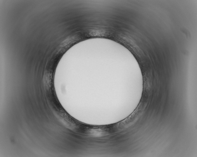 X0000110690171200907101156