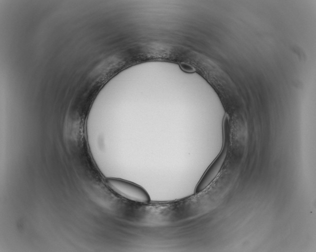 X0000110690172200907101156