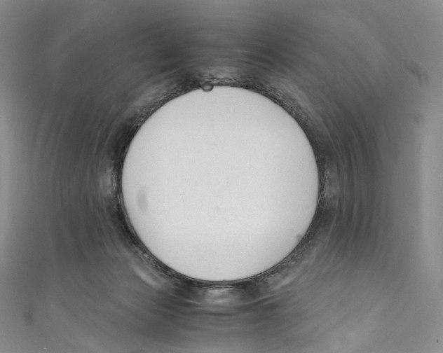 X0000110690173200907101156